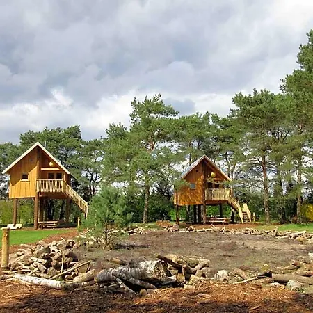 Modern Near De Veluwe National Park Ede
